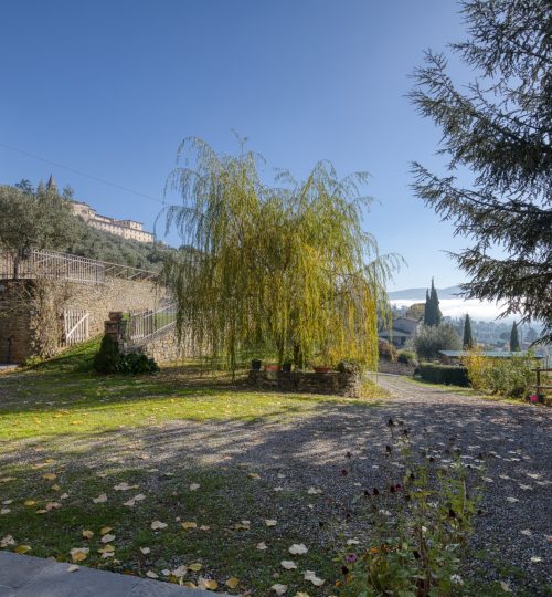 Cortona